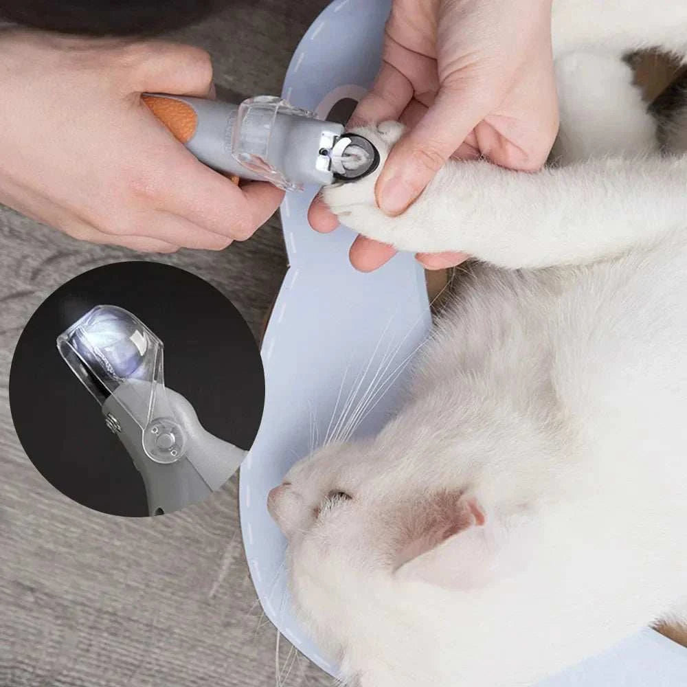 Professional pet nail clippers with LED light in use on a cat's paw.