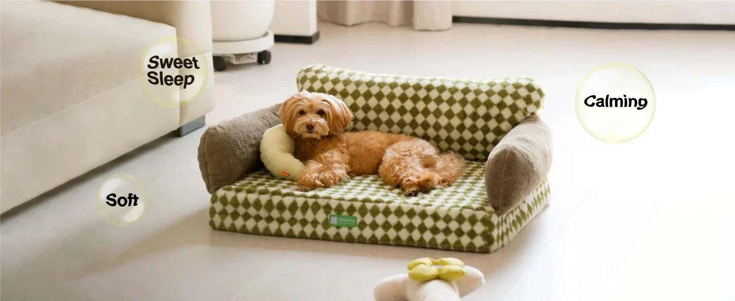 Mewoofun orthopedic cat and small dog bed featuring egg foam construction and a removable washable cover for added comfort and hygiene.