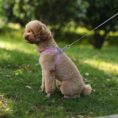 "Adjustable dog harness and leash set for small dogs"