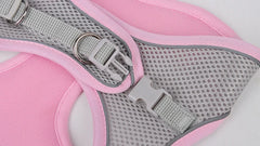 "Adjustable dog harness and leash set for small dogs"