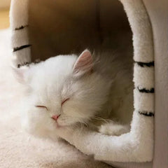 Fluffy white cat sleeping in a cozy half-closed dog bed.