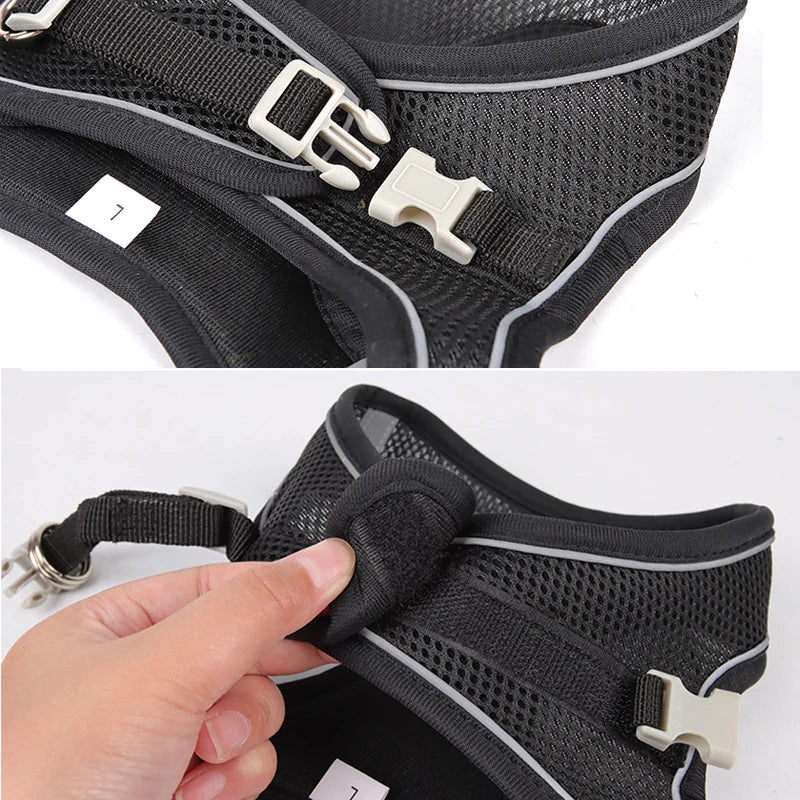 "Adjustable dog harness and leash set for small dogs"