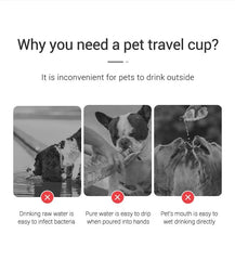 Portable pet travel water bottle for dogs and cats, leak-proof design for outdoor hydration.