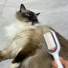 "Double-sided pet hair removal brush for cats and dogs with grooming wipes"
