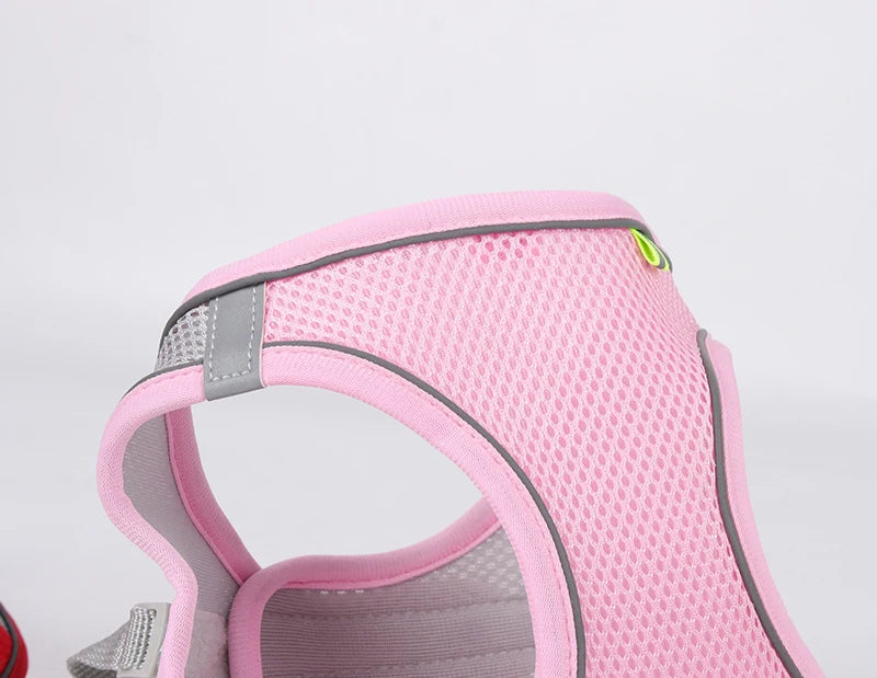 "Adjustable dog harness and leash set for small dogs"