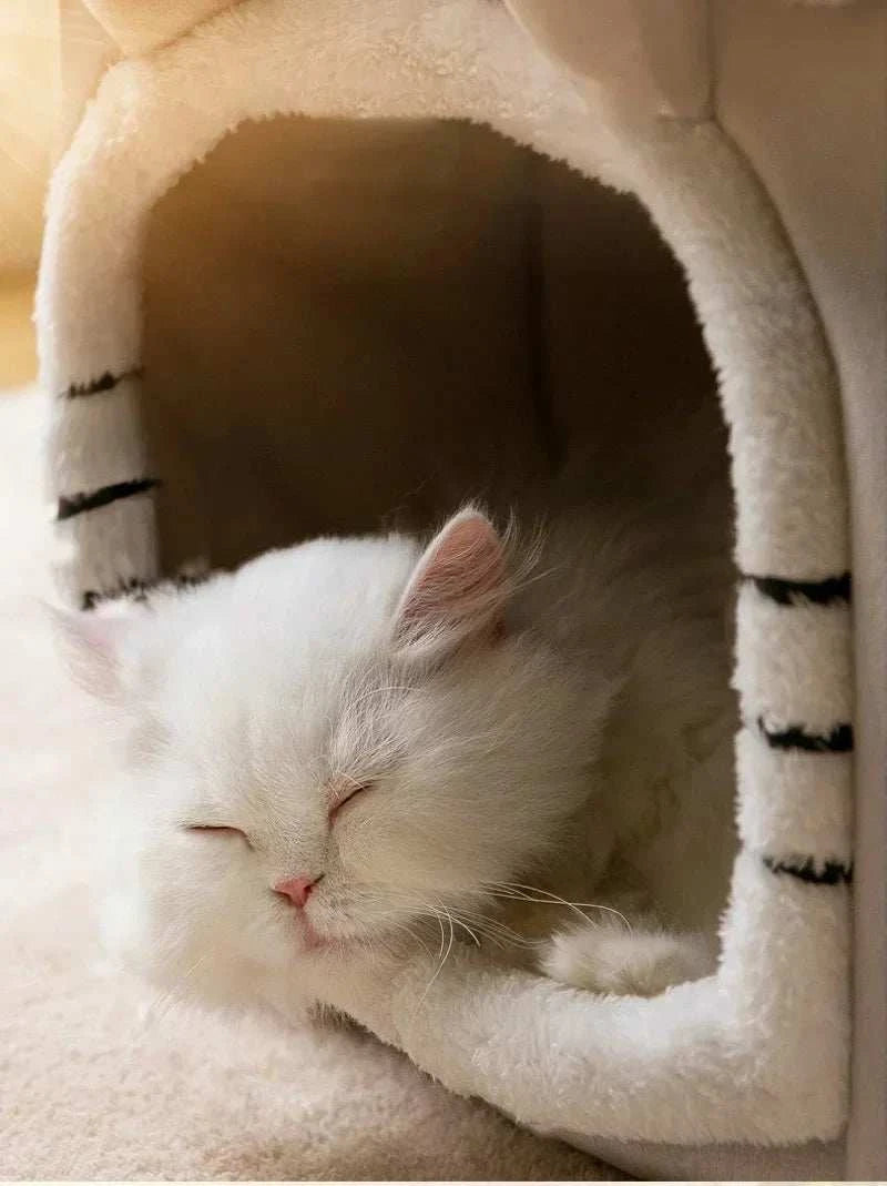 Cozy Half-Closed Dog Bed with fluffy, soft interior for small pets.