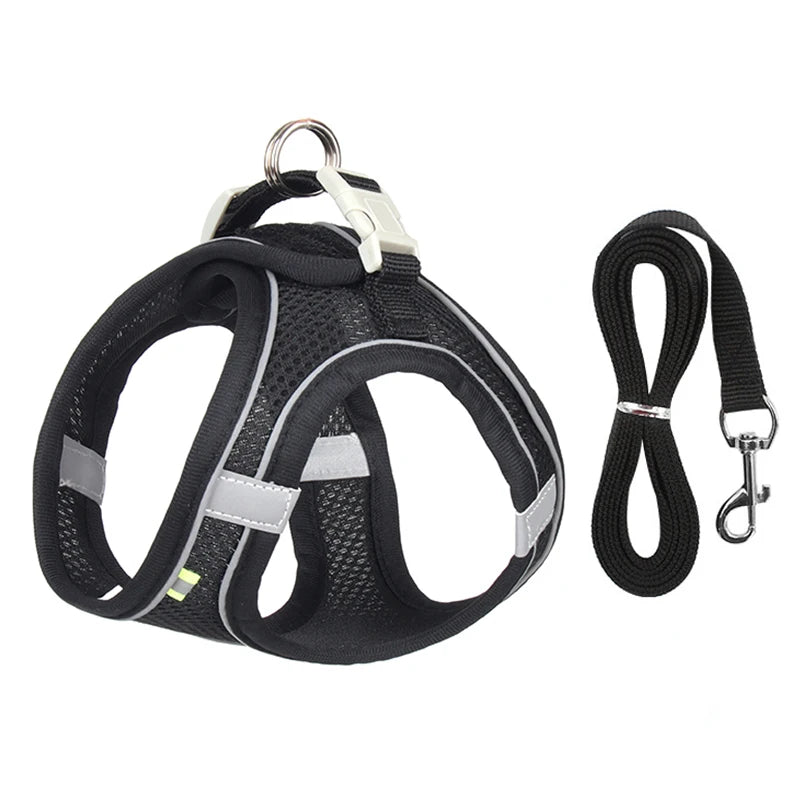 "Adjustable dog harness and leash set for small dogs"