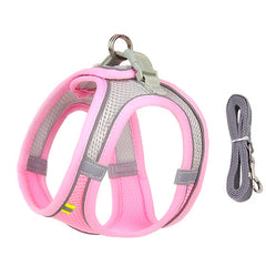 "Adjustable dog harness and leash set for small dogs"