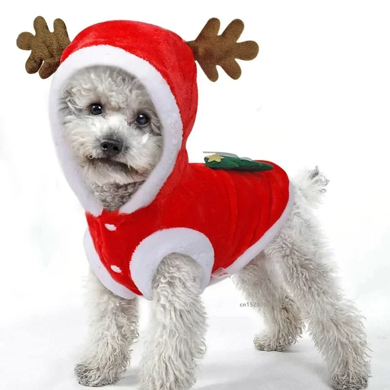 "Christmas pet coat hoodie for small dogs and cats, winter outfit for Chihuahuas and Yorkies"