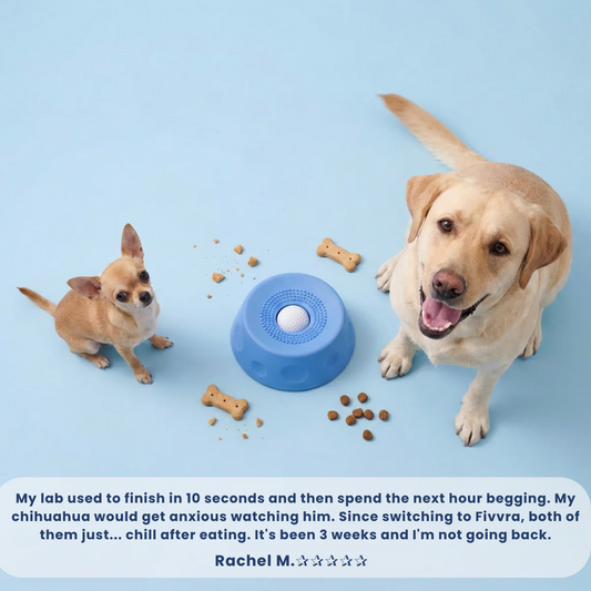 What to Put in a Dog Lick Bowl (7 Safe & Easy Options)