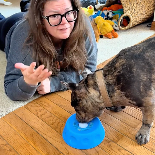 How to Slow Down a Dog That Eats Too Fast (5 Proven Methods)