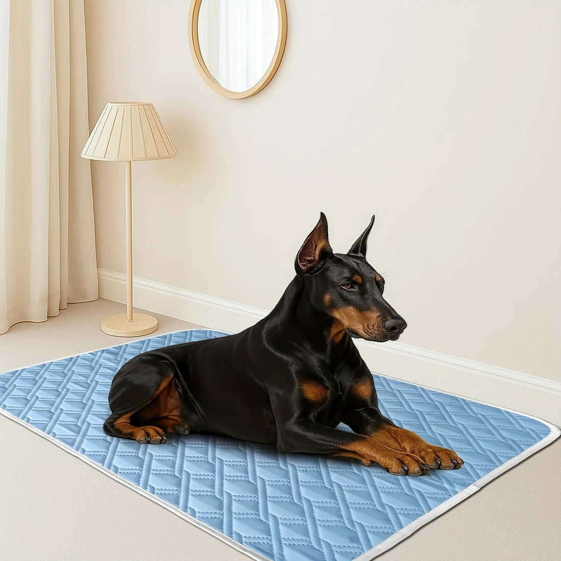 How to Keep Your Dog Cool in Summer (5 Vet-Approved Tips)