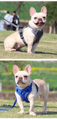 No-pull dog harness and leash set for small pets, adjustable and reflective.