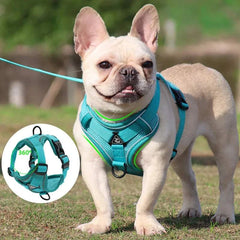 No Pull Dog Harness & Leash Set with Reflective Vest for Small Pets, Adjustable and Breathable.