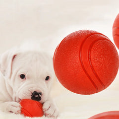 "HOOPET rubber ball dog toy in red color, designed for durable play"