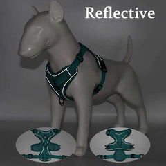 Reflective no-pull dog harness and leash set for small pets, adjustable for comfort and safety.