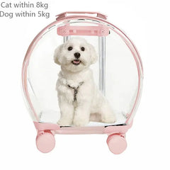 "Rolling pet travel trolley with wheels and transparent capsule carrier in pink and green"