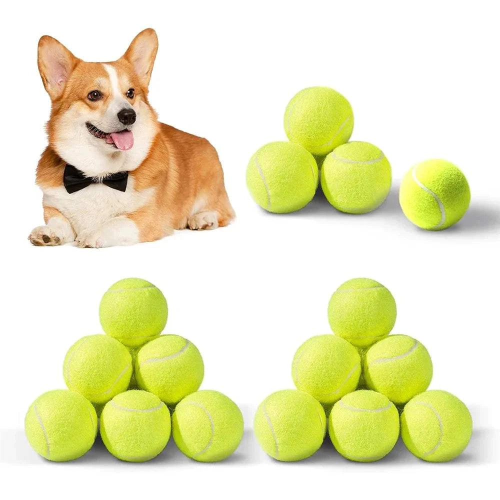 6 PCS 5cm tennis balls for dog launcher, elastic and durable dog toy.