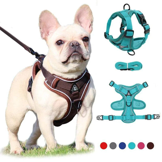 Adjustable no-pull dog harness and leash set with reflective mesh for small pets.