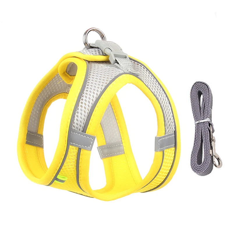 "Adjustable dog harness and leash set for small dogs"
