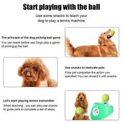 "Automatic dog tennis ball launcher for interactive play"