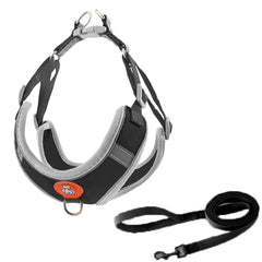 -Pull Reflective Dog Harness & Leash Set - Adjustable & Breathable No-pull reflective dog harness and leash set with adjustable straps and breathable material, ideal for safe, comfortable walks with dogs or cats.