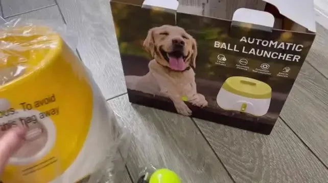 "Automatic dog tennis ball launcher for interactive play"