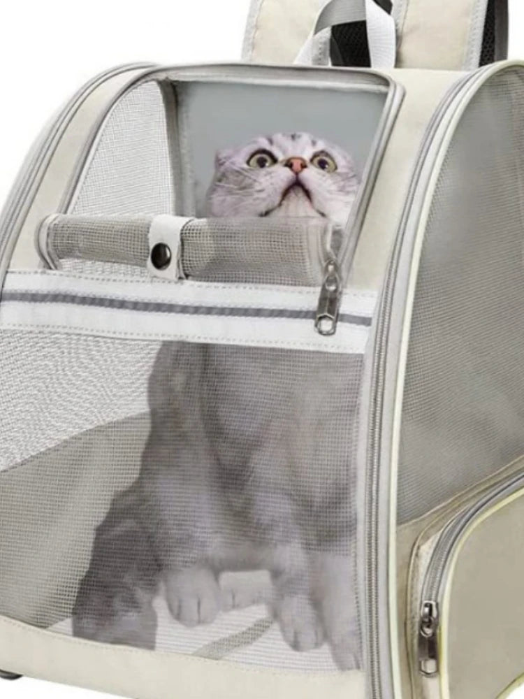 "Breathable canvas cat backpack with mesh panels for airflow and comfort"