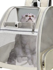 "Breathable canvas cat backpack with mesh panels for airflow and comfort"