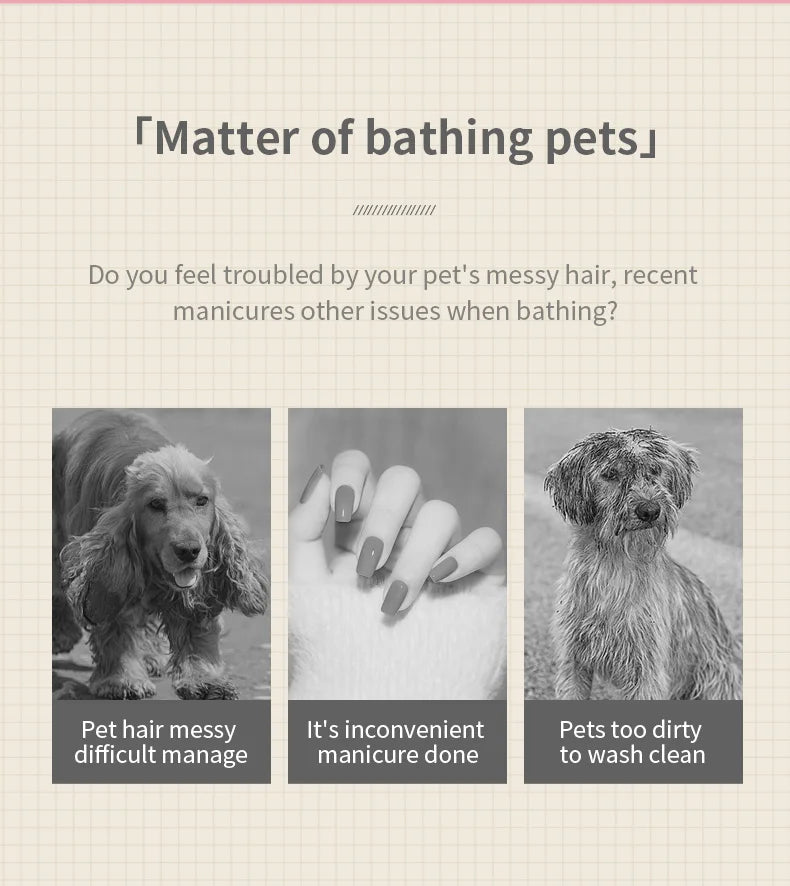 "3-in-1 pet spray massage brush for grooming cats and dogs with steam spray"