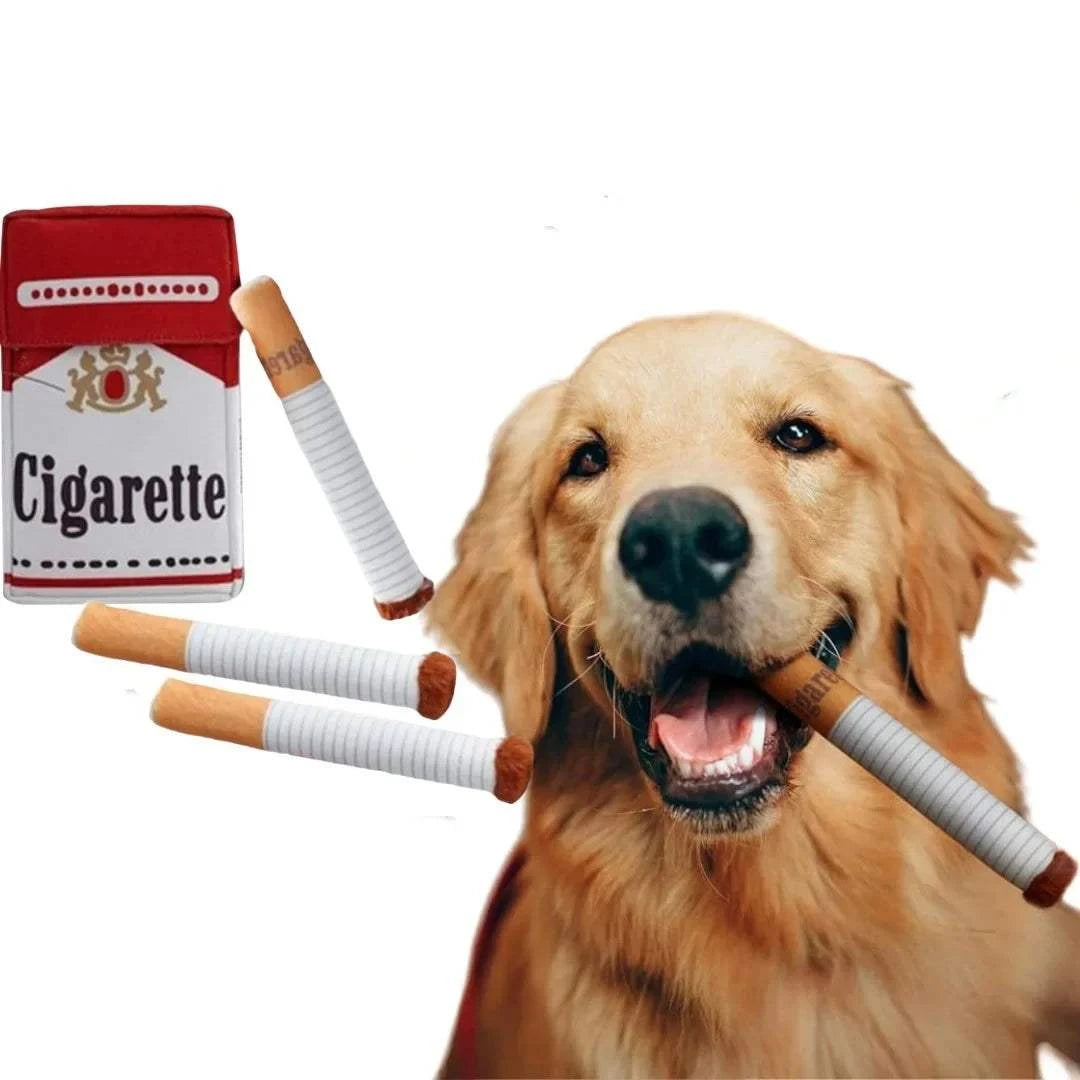 Dog with a playfully engaging Dog Cigarette Box Sound Making Toy, featuring bite-resistant plush design and sound-making plush cigarettes.