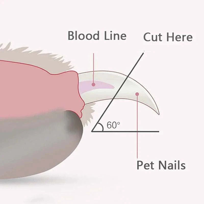 Diagram illustrating the proper cutting angle for pet nails with blood line guide for safe trimming.