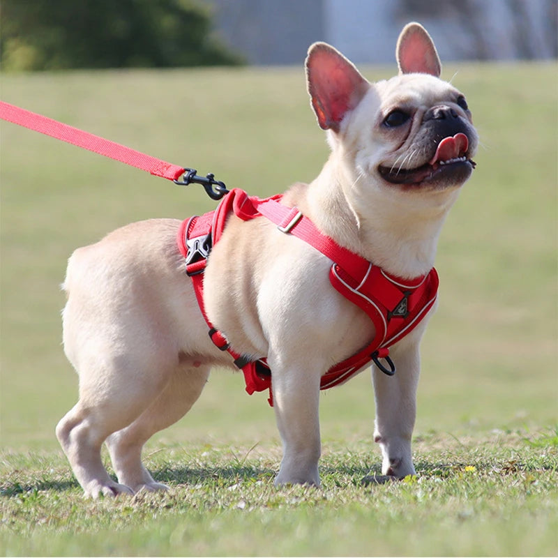 Adjustable Dog Harness Leash Set with reflective design for small and medium dogs, perfect for French Bulldogs and Yorkies.