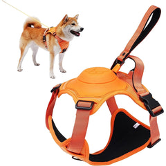 Dog Harness and Retractable Leash Set with adjustable, breathable design and anti-burst safety features.

