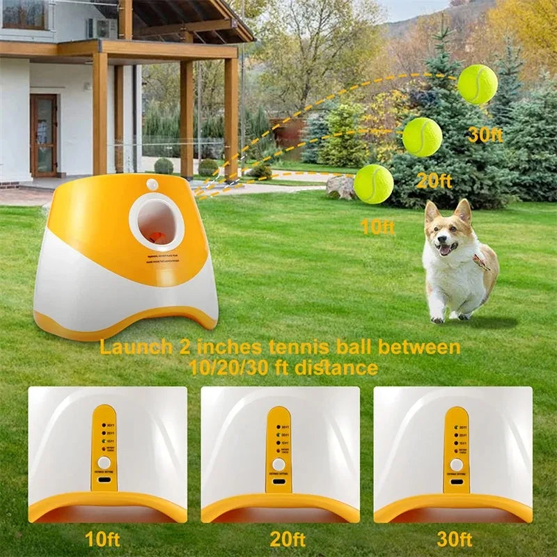 "Automatic dog tennis ball launcher for interactive play"