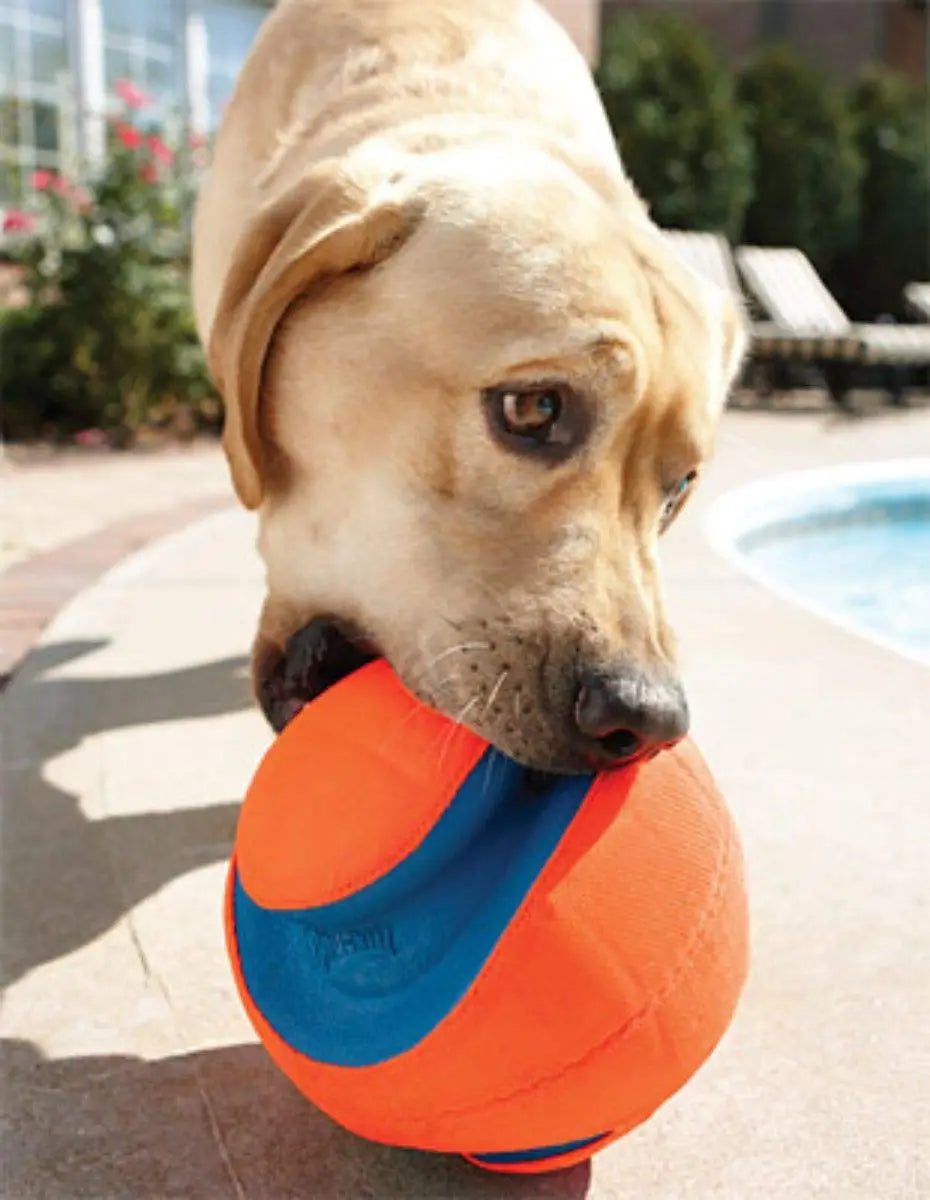 "Chuckit! Kick Fetch Ball Dog Toy for interactive outdoor play with easy-to-kick design"