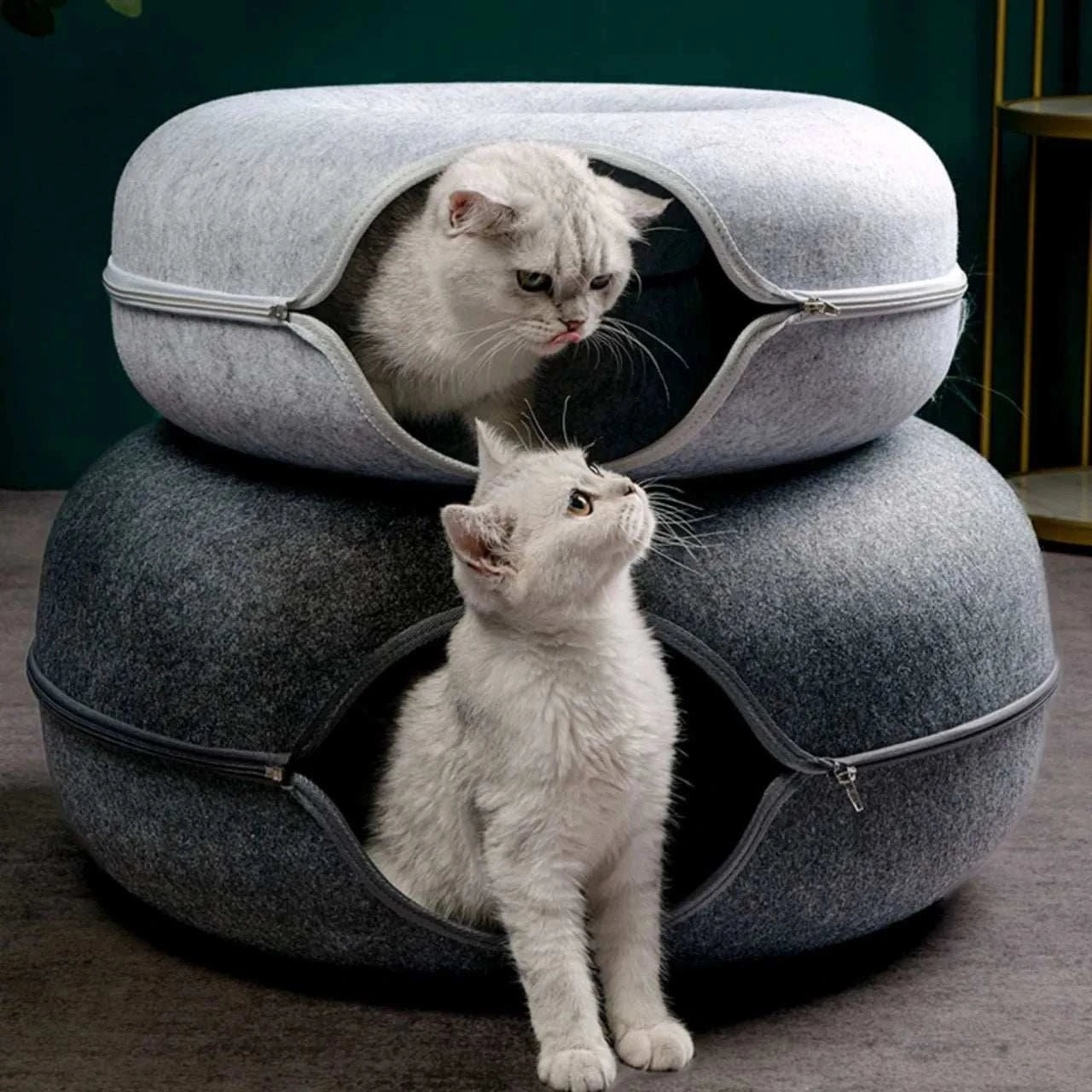 "Donut cat bed with interactive tunnel for playful indoor cats"