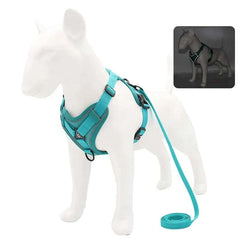 Adjustable reflective no-pull dog harness and leash set for small pets, enhances visibility and comfort.