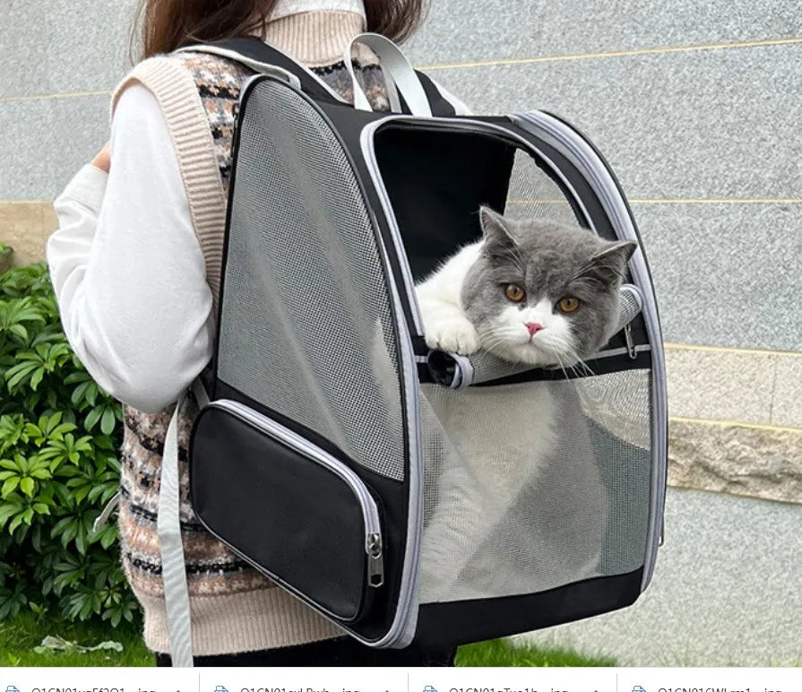 "Breathable canvas cat backpack with mesh panels for airflow and comfort"