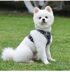 Adjustable Dog Harness Leash Set with reflective design for small and medium dogs, perfect for French Bulldogs and Yorkies.