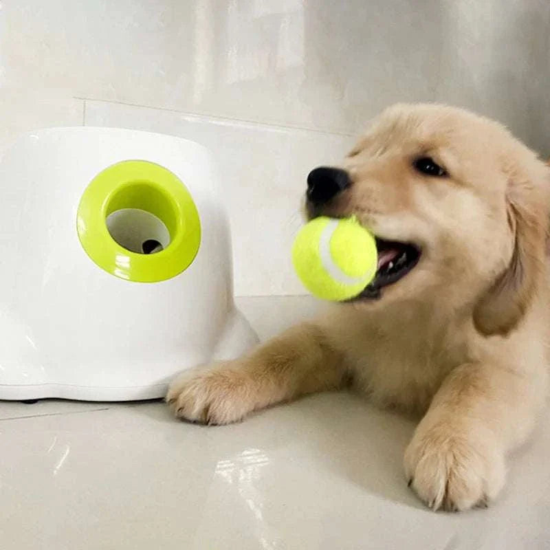 "Automatic dog ball launcher for throwing tennis balls, ideal for high-energy dogs"