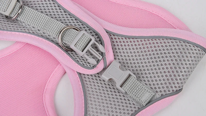 "Adjustable dog harness and leash set for small dogs"