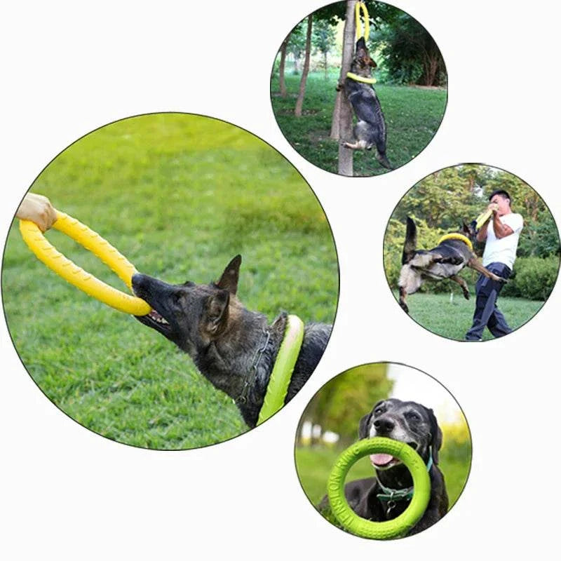 Anti-Bite Pet Flying Disk Training Ring Puller for dogs in action, showcasing interactive play and durability.