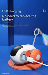 Wireless remote control electric cat toy with gravity sports car design, USB charging.