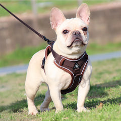 Adjustable Dog Harness Leash Set with reflective design for small and medium dogs, perfect for French Bulldogs and Yorkies.