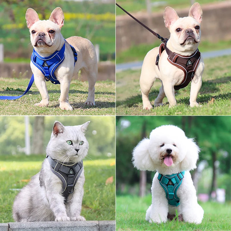 Adjustable Dog Harness Leash Set with reflective design for small and medium dogs, perfect for French Bulldogs and Yorkies.
