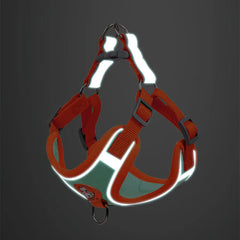 -Pull Reflective Dog Harness & Leash Set - Adjustable & Breathable No-pull reflective dog harness and leash set with adjustable straps and breathable material, ideal for safe, comfortable walks with dogs or cats.