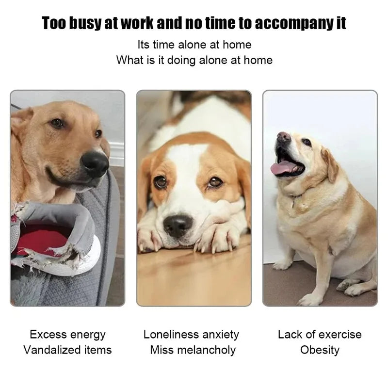 "Automatic dog tennis ball launcher for interactive play"