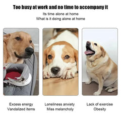 "Automatic dog tennis ball launcher for interactive play"