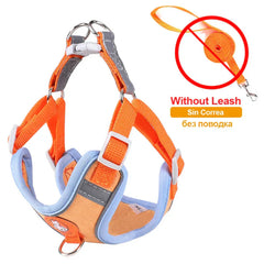 -Pull Reflective Dog Harness & Leash Set - Adjustable & Breathable No-pull reflective dog harness and leash set with adjustable straps and breathable material, ideal for safe, comfortable walks with dogs or cats.